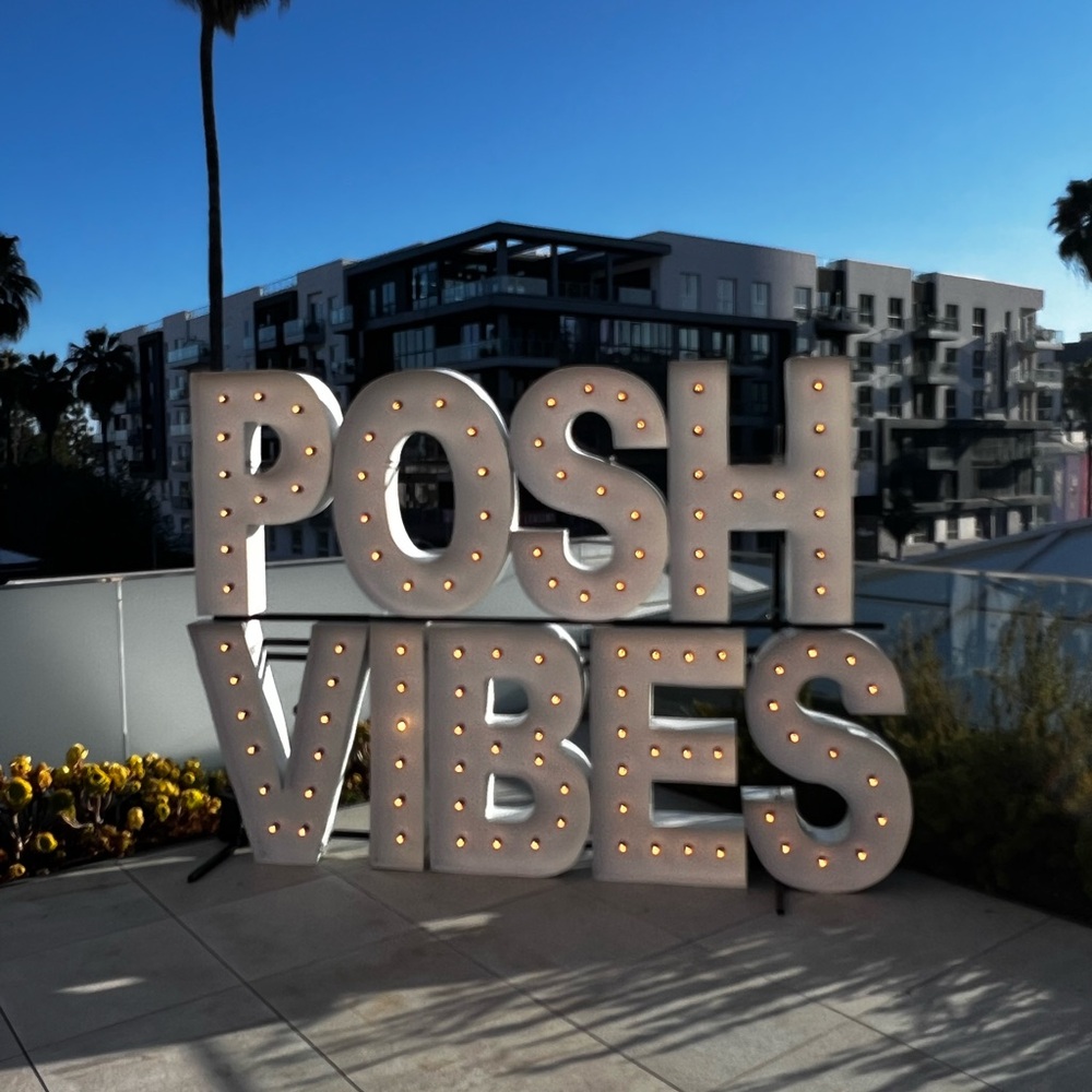 πPOSH PARTY LA LIVE SHEIN RUCHED MIDI DRESS - Picture 12 of 16